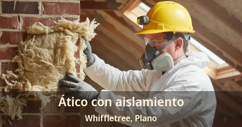 Ático con aislamiento Whiffletree, Plano - TX