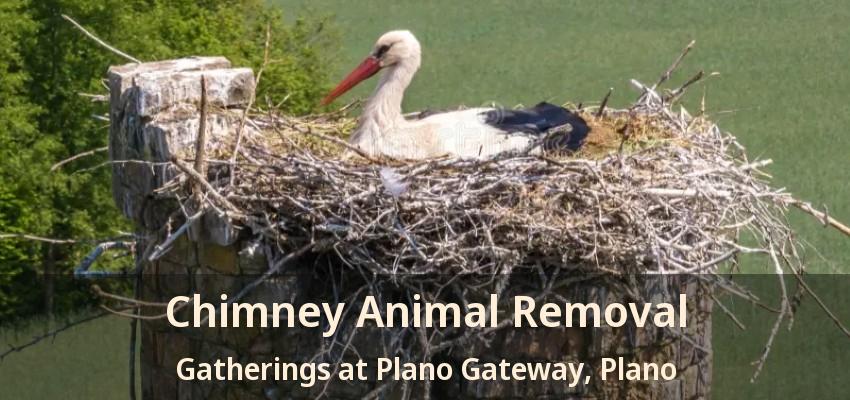 Chimney Animal Removal Gatherings at Plano Gateway, Plano - TX