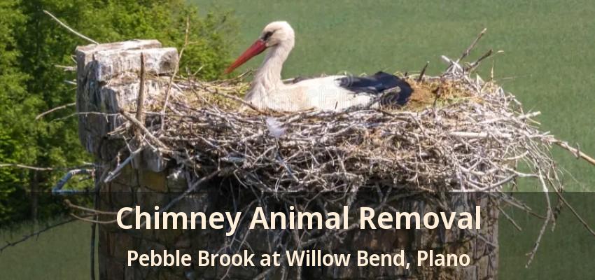 Chimney Animal Removal Pebble Brook at Willow Bend, Plano - TX