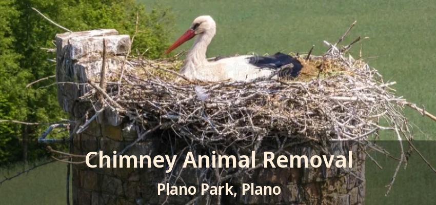 Chimney Animal Removal Plano Park, Plano - TX