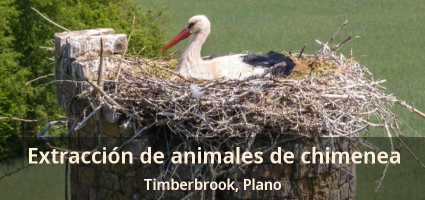 Extracción de animales de chimenea Timberbrook, Plano - TX