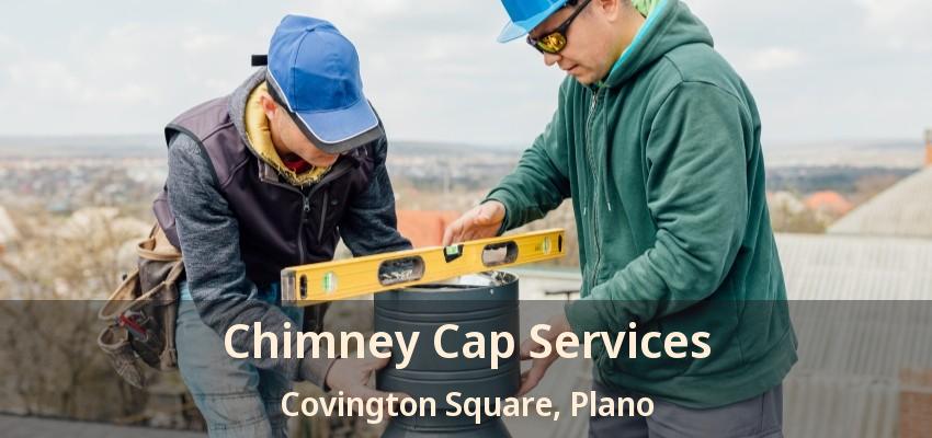 Chimney Cap Services Covington Square, Plano - TX