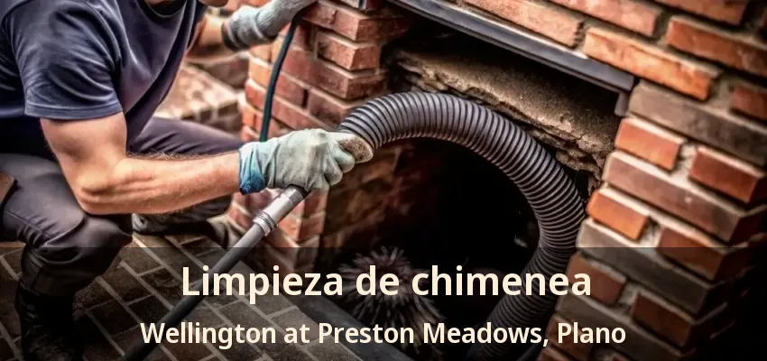 Limpieza de chimenea Wellington at Preston Meadows, Plano - TX