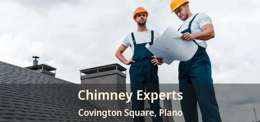Chimney Experts Covington Square, Plano - TX