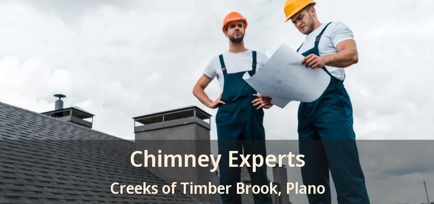 Chimney Experts Creeks of Timber Brook, Plano - TX