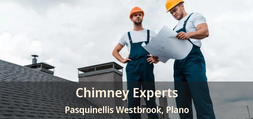 Chimney Experts Pasquinellis Westbrook, Plano - TX