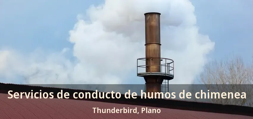 Servicios de conducto de humos de chimenea Thunderbird, Plano - TX
