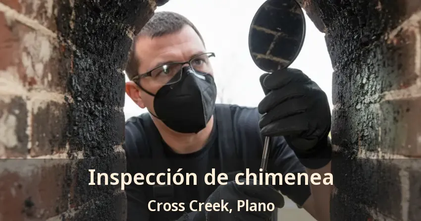 Inspección de chimenea Cross Creek, Plano - TX Inspección de chimenea Cross Creek, Plano - TX