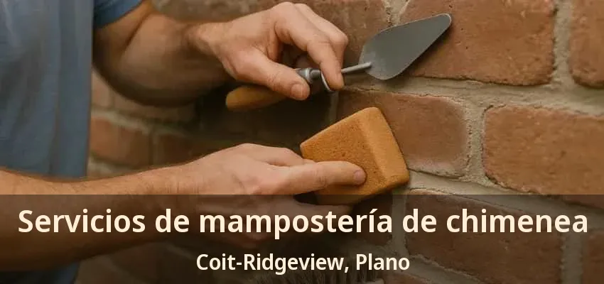 Servicios de mampostería de chimenea Coit-Ridgeview, Plano - TX