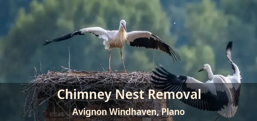 Chimney Nest Removal Avignon Windhaven, Plano - TX
