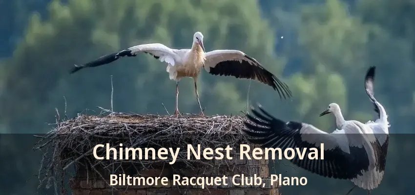 Chimney Nest Removal Biltmore Racquet Club, Plano - TX