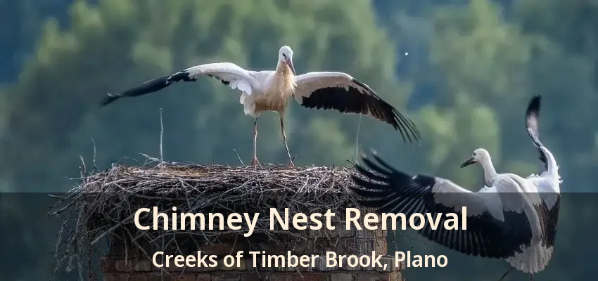 Chimney Nest Removal Creeks of Timber Brook, Plano - TX