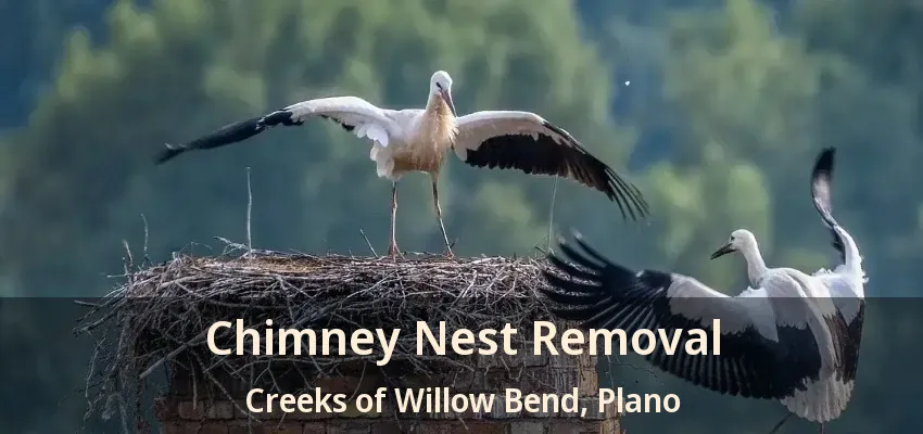 Chimney Nest Removal Creeks of Willow Bend, Plano - TX