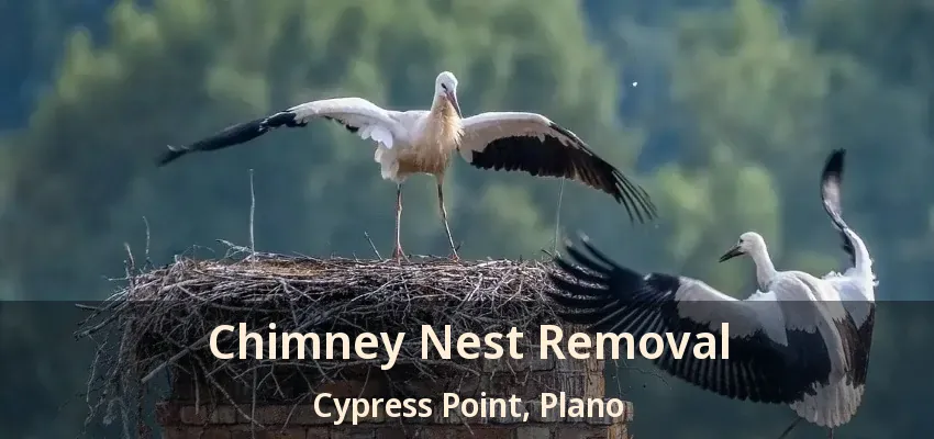 Chimney Nest Removal Cypress Point, Plano - TX