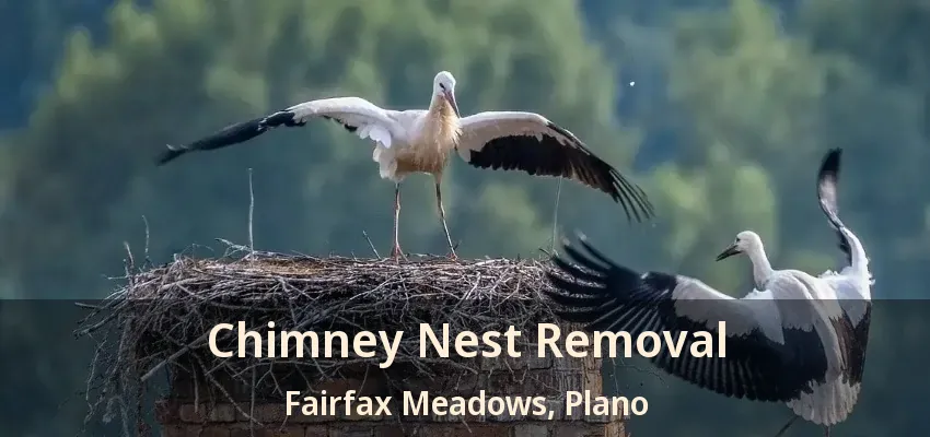 Chimney Nest Removal Fairfax Meadows, Plano - TX