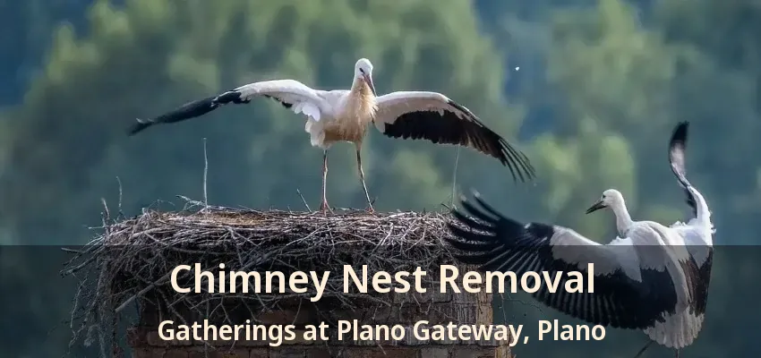 Chimney Nest Removal Gatherings at Plano Gateway, Plano - TX