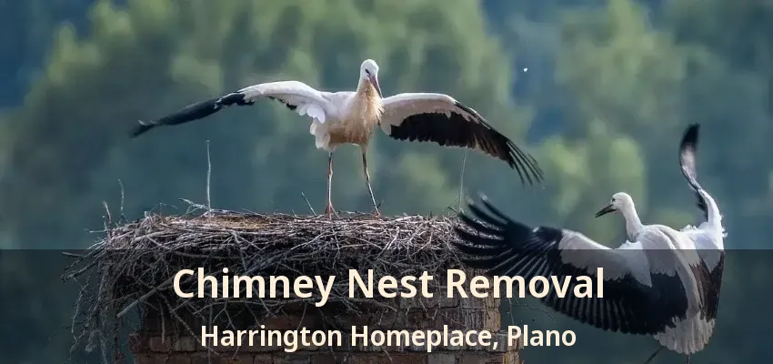 Chimney Nest Removal Harrington Homeplace, Plano - TX
