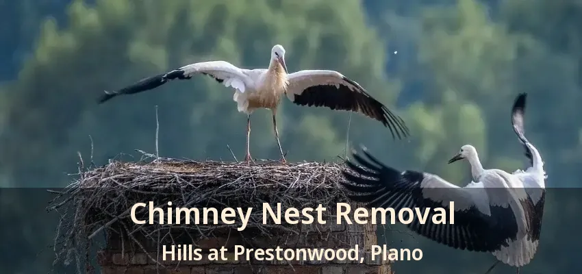 Chimney Nest Removal Hills at Prestonwood, Plano - TX