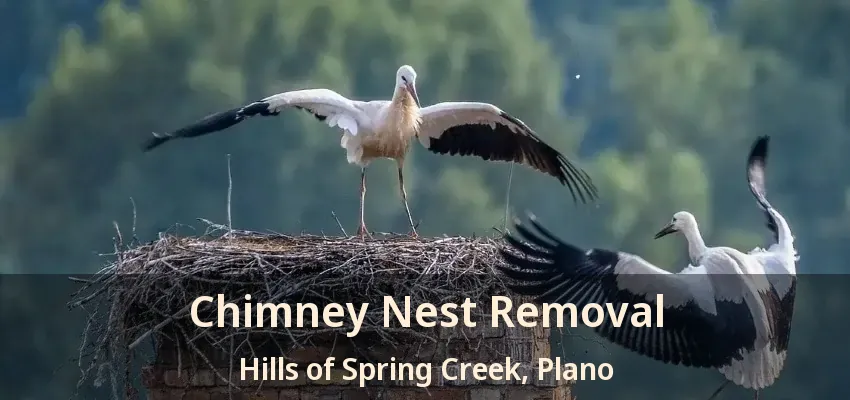 Chimney Nest Removal Hills of Spring Creek, Plano - TX