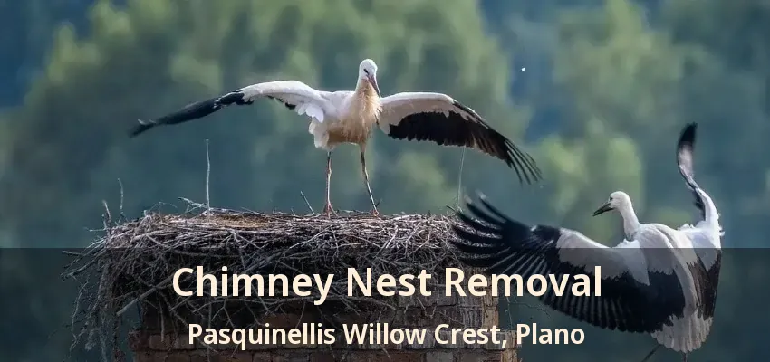 Chimney Nest Removal Pasquinellis Willow Crest, Plano - TX