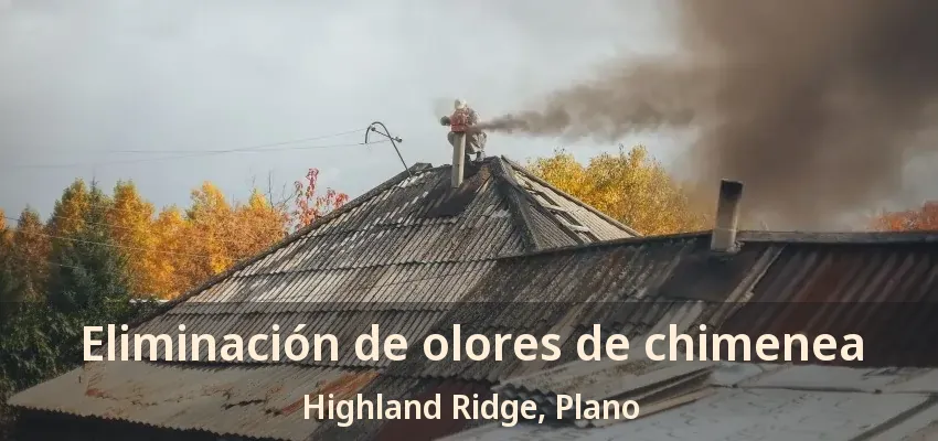 Eliminación de olores de chimenea Highland Ridge, Plano - TX