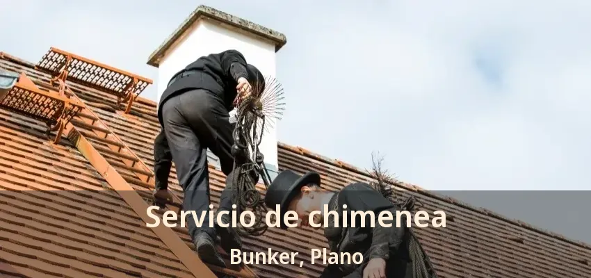 Servicio de chimenea Bunker, Plano - TX