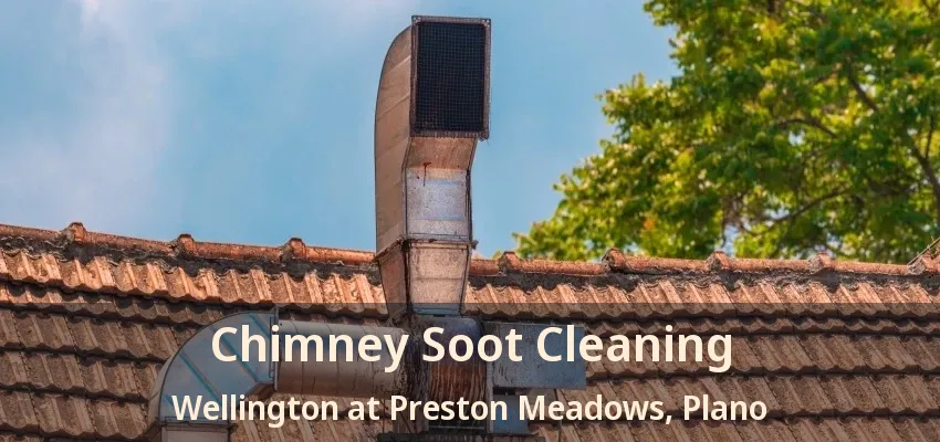 Chimney Soot Cleaning Wellington at Preston Meadows, Plano - TX