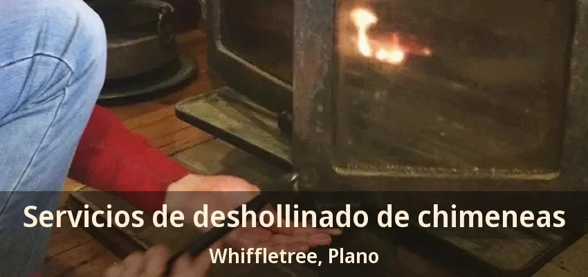 Servicios de deshollinado de chimeneas Whiffletree, Plano - TX