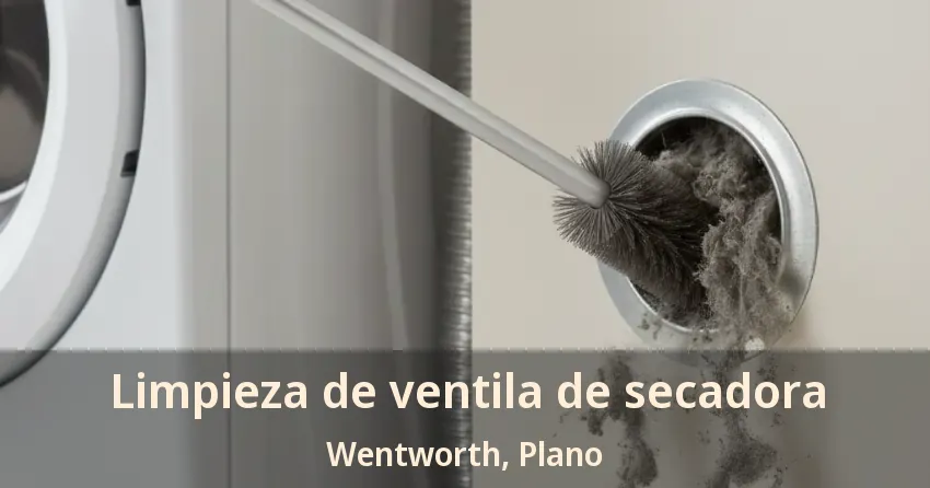Limpieza de ventila de secadora Wentworth, Plano - TX