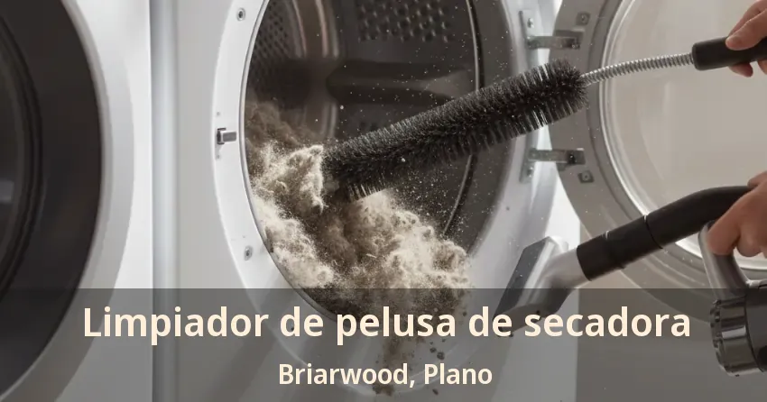 Limpiador de pelusa de secadora Briarwood, Plano - TX