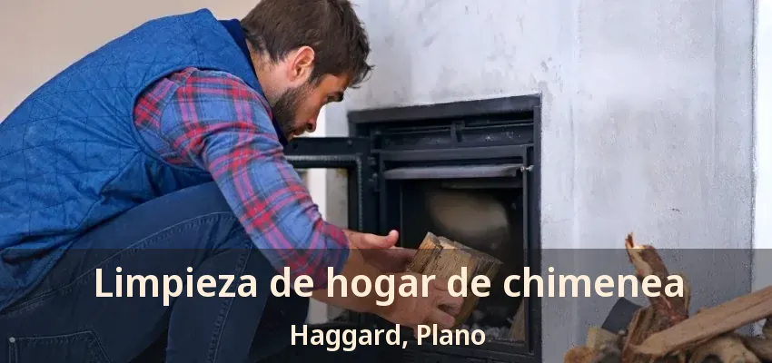 Limpieza de hogar de chimenea Haggard, Plano - TX Limpieza de hogar de chimenea Haggard, Plano - TX