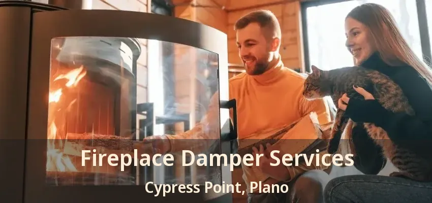 Fireplace Damper Services Cypress Point, Plano - TX