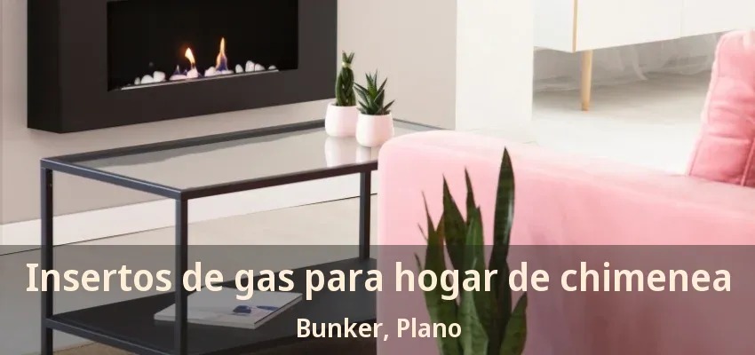 Insertos de gas para hogar de chimenea Bunker, Plano - TX