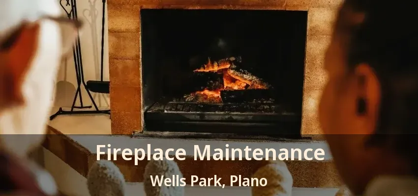 Fireplace Maintenance Wells Park, Plano - TX