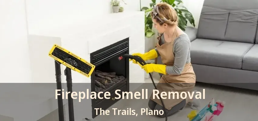 Fireplace Smell Removal The Trails, Plano - TX