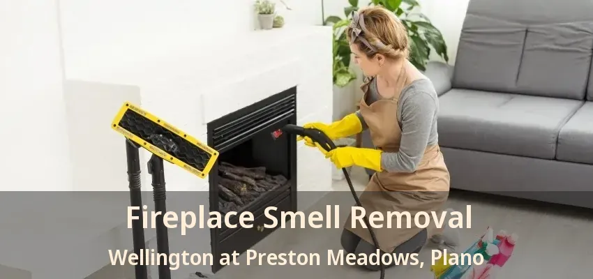 Fireplace Smell Removal Wellington at Preston Meadows, Plano - TX