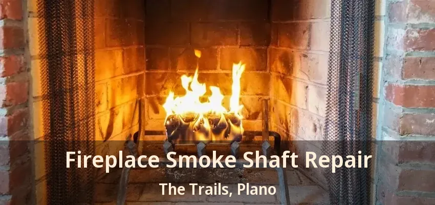 Fireplace Smoke Shaft Repair The Trails, Plano - TX