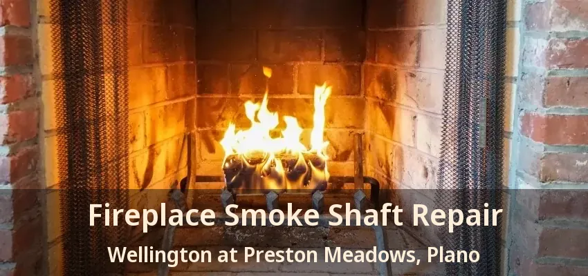 Fireplace Smoke Shaft Repair Wellington at Preston Meadows, Plano - TX