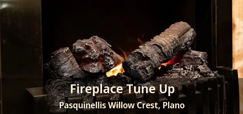 Fireplace Tune Up Pasquinellis Willow Crest, Plano - TX