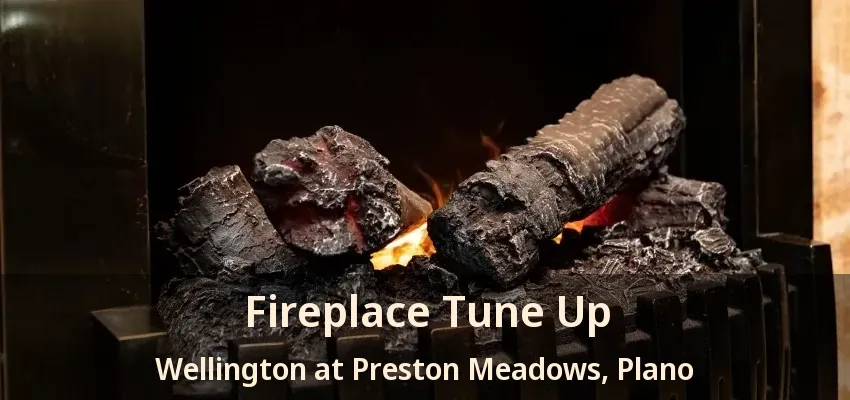 Fireplace Tune Up Wellington at Preston Meadows, Plano - TX