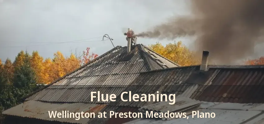 Flue Cleaning Wellington at Preston Meadows, Plano - TX
