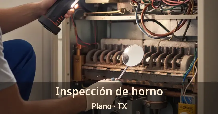 Inspección de horno Plano - TX