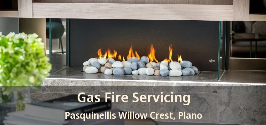Gas Fire Servicing Pasquinellis Willow Crest, Plano - TX