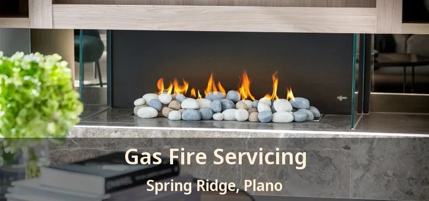 Gas Fire Servicing Spring Ridge, Plano - TX