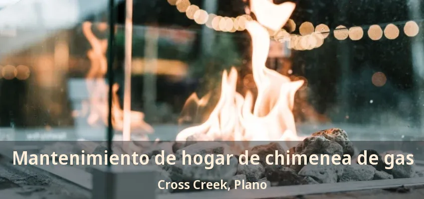 Mantenimiento de hogar de chimenea de gas Cross Creek, Plano - TX