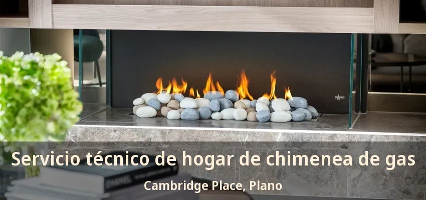 Servicio técnico de hogar de chimenea de gas Cambridge Place, Plano - TX