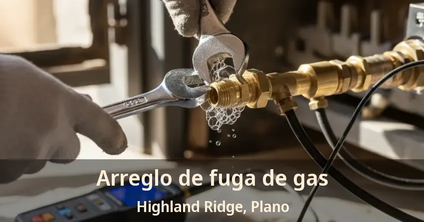 Arreglo de fuga de gas Highland Ridge, Plano - TX