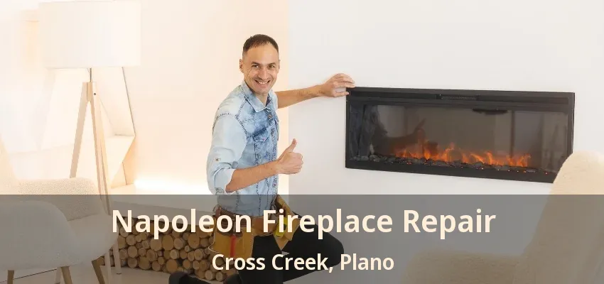 Napoleon Fireplace Repair Cross Creek, Plano - TX