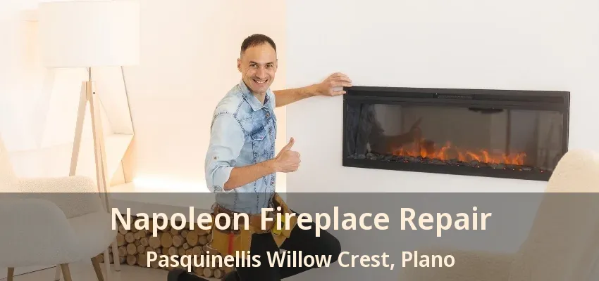 Napoleon Fireplace Repair Pasquinellis Willow Crest, Plano - TX