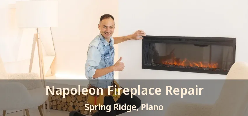 Napoleon Fireplace Repair Spring Ridge, Plano - TX